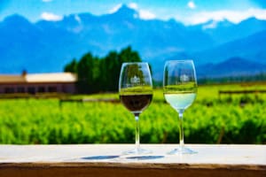 Two wine glasses overlooking a winery in Mendoza, Argentina