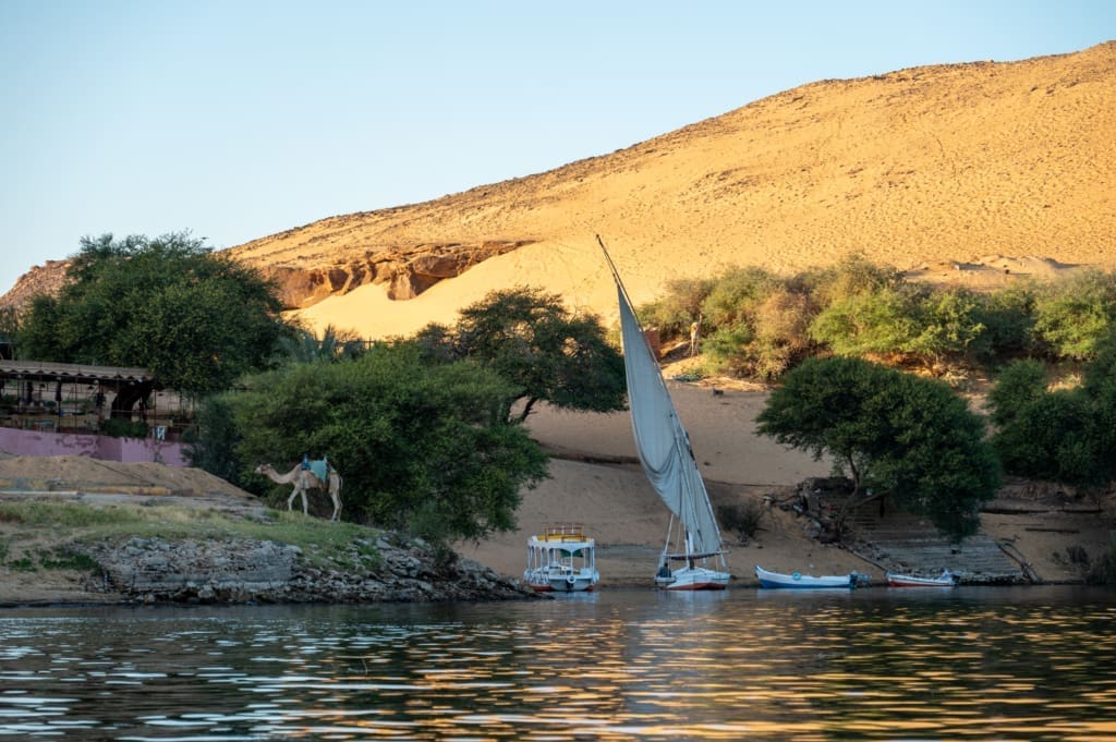 Felucca and camel in Aswan, Egypt